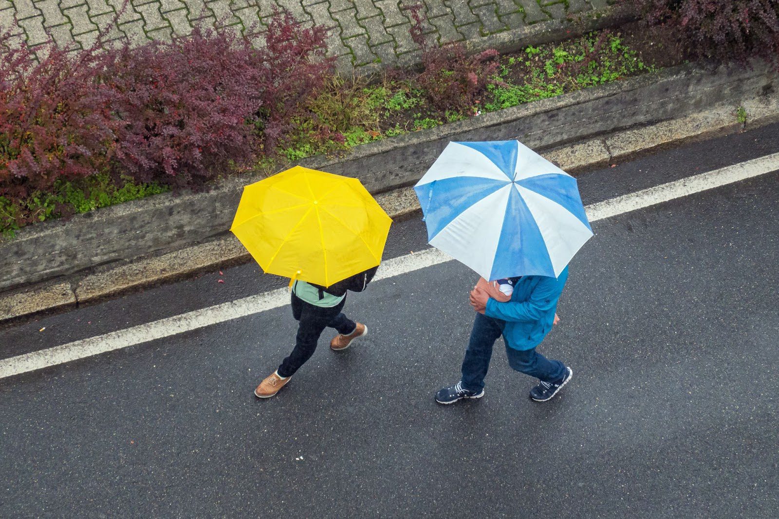 a person holding a colorful umbrella